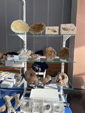 GMA. 9ª Fira de Minerals D´Oliva. 