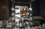 GMA. 9ª Fira de Minerals D´Oliva. 