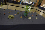 GMA. 9ª Fira de Minerals D´Oliva. 