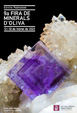GMA. 9ª Fira de Minerals D´Oliva. 