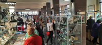 GMA. Feria de Minerales de Oviedo 2022 