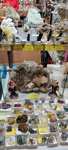GMA. Feria de Minerales de Oviedo 2022 