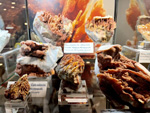 GMA. XXVI Feria de Minerales de Zaragoza