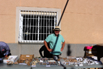 XIII Mesa de Intercambio de Minerales y Fósiles de Alicante
