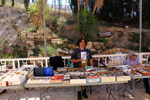 XIII Mesa de Intercambio de Minerales y Fósiles de Alicante