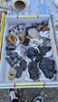 XIII Mesa de Intercambio de Minerales y Fósiles de Alicante