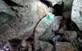 Mina de wolframio de Cabeza de Líjar 