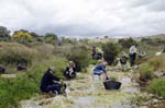  ateo de oro al arroyo Fresnedoso, en Moraleja (Cáceres)