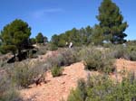 Los Yesares. Camporrobles. Valencia