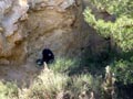 Saltador, Lora, Minicas, Zarzadilla de totana y Ulea Murcia