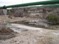 Saltador, Lora, Minicas, Zarzadilla de totana y Ulea Murcia