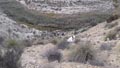 Saltador, Lora, Minicas, Zarzadilla de totana y Ulea Murcia