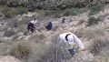 Saltador, Lora, Minicas, Zarzadilla de totana y Ulea Murcia