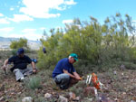 GMM. Excusión de mineralogía a Purroy 
