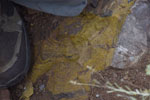 GMM. Excusión de mineralogía a Purroy 