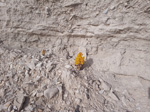 Grupo Mineralogista de Madrid. Minas del Carmen en la celia Jumilla y explotación de diatomeas en Agramón  