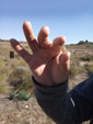 Grupo Mineralogista de Madrid. Minas del Carmen en la celia Jumilla y explotación de diatomeas en Agramón  