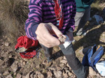 Grupo Mineralogista de Madrid. Minas del Carmen en la celia Jumilla y explotación de diatomeas en Agramón  