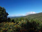 Grupo Mineralogista de Madrid. Sierra Norte. Puerto Cardoso  