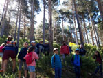 Grupo Mineralogista de Madrid. Sierra Norte. Puerto Cardoso  