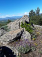 Grupo Mineralogista de Madrid. Sierra Norte. Puerto Cardoso  