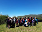 Grupo Mineralogista de Madrid. Sierra Norte. Puerto Cardoso  