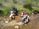 Grupo Mineralogista de Madrid. Excursión de bateo de oro al arroyo Fresnedoso, en Moraleja (Cáceres)  