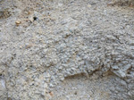 GMM. Excusión de mineralogía a Ambasaguas. La Rioja 