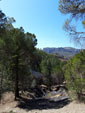 Grupo Mineralogista de Madrid. Montalban. Teruel 