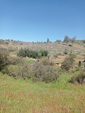 Arroyo Fresnedoso. Moraleja. Caceres
