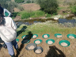 Arroyo Fresnedoso. Moraleja. Caceres