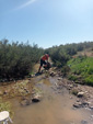 Arroyo Fresnedoso. Moraleja. Caceres