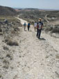 Excusión de mineralogía a Fuentes de Ebro. Zaragoza