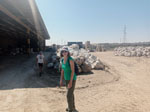 Excusión de mineralogía a Fuentes de Ebro. Zaragoza