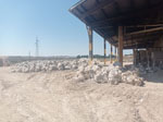 Excusión de mineralogía a Fuentes de Ebro. Zaragoza