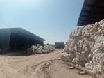 Excusión de mineralogía a Fuentes de Ebro. Zaragoza