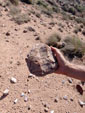 Excusión de mineralogía a Azaila. Teruel