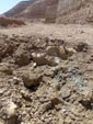 
      
      Excusión de mineralogía a Fuentes de Ebro. Zaragoza 