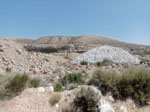 Excusión de mineralogía a Fuentes de Ebro. Zaragoza