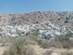 Excusión de mineralogía a Fuentes de Ebro. Zaragoza