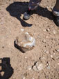 Excusión de mineralogía a Fuentes de Ebro. Zaragoza