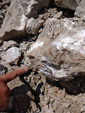 Excusión de mineralogía a Fuentes de Ebro. Zaragoza