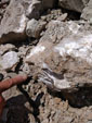 Excusión de mineralogía a Fuentes de Ebro. Zaragoza