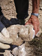 Excusión de mineralogía a Fuentes de Ebro. Zaragoza