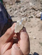 Excusión de mineralogía a Fuentes de Ebro. Zaragoza