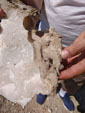 Excusión de mineralogía a Fuentes de Ebro. Zaragoza