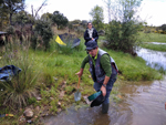 Arroyos auríferos de Pino del Oro (Zamora)