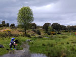 Arroyos auríferos de Pino del Oro (Zamora)