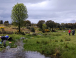 Arroyos auríferos de Pino del Oro (Zamora)