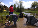 Arroyos auríferos de Pino del Oro (Zamora)